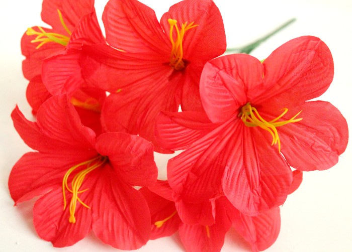 Б11217 Б/С Бук.колокольчика"Рафаэлло"6г.Н37см(50микс)