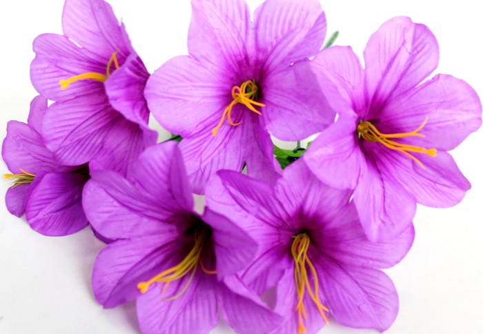 Б11217 Б/С Бук.колокольчика"Рафаэлло"6г.Н37см(50микс)