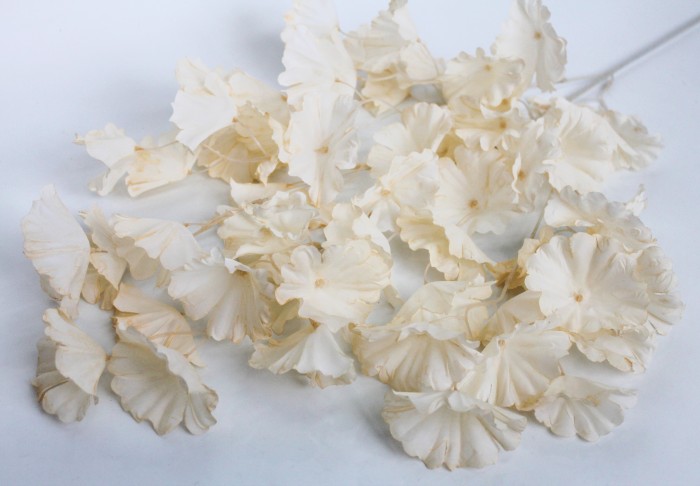 В11533 Б/С Ветка эустома-свадебная флористика 4в.57цв.Н100см(5шт)