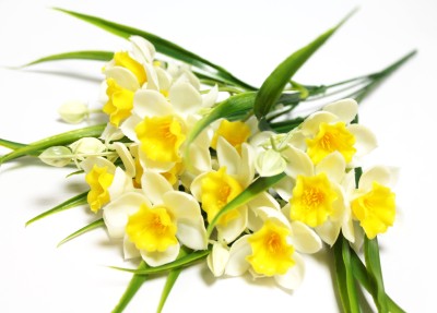 Б12059 Б/С Букет нарцисс силикон 15 голов 5в.&quot;Мэри&quot;Н37см(10шт)