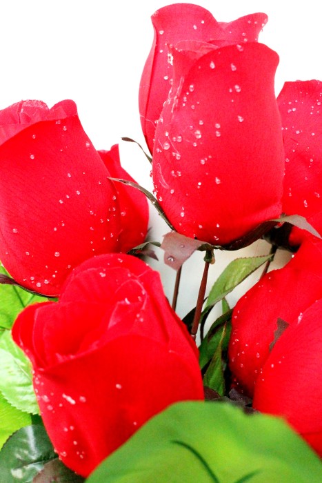 Б861 Б/С Бук.бутылочная роза с росой 9гол.Н56см(12микс)