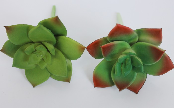 Э10305 Б/С Сук.Агавовидн.Каменная Роза d=9см(2шт)