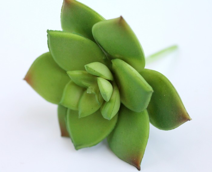 Э10305 Б/С Сук.Агавовидн.Каменная Роза d=9см(2шт)