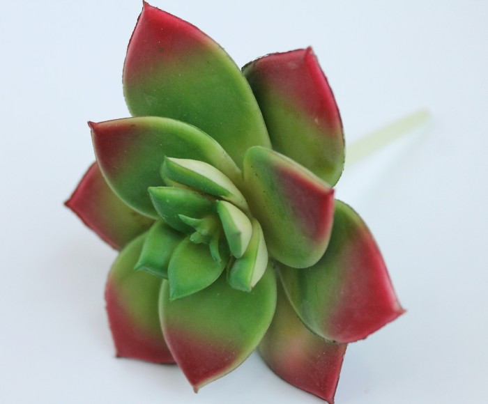 Э10305 Б/С Сук.Агавовидн.Каменная Роза d=9см(2шт)