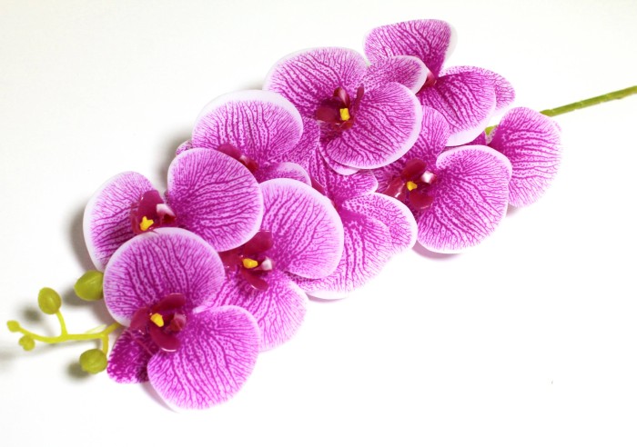 В12008 Б/С Орхидея из силикона 9 голов "Московская" 102см(2шт) 