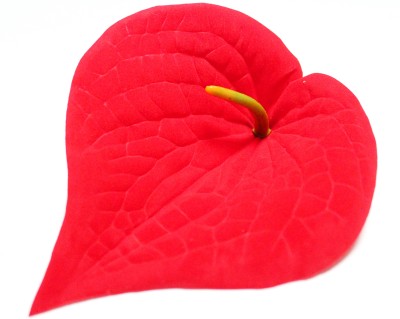 Г10507 Антуриум 16,5см х 14см барх."Мужское счастье"(200шт)