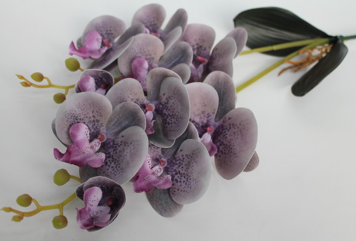 В11437 Б/С Орхидея двойн.с корнями латекс"Дендробиум"Н55см