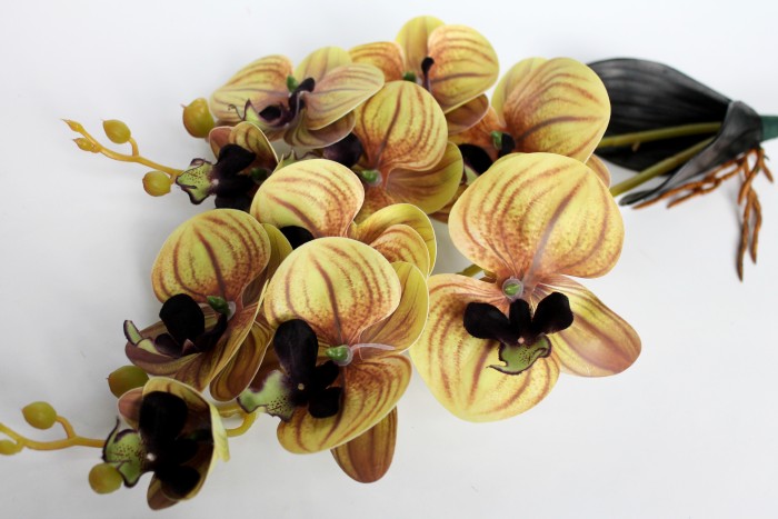 В11437 Б/С Орхидея двойн.с корнями латекс"Дендробиум"Н55см