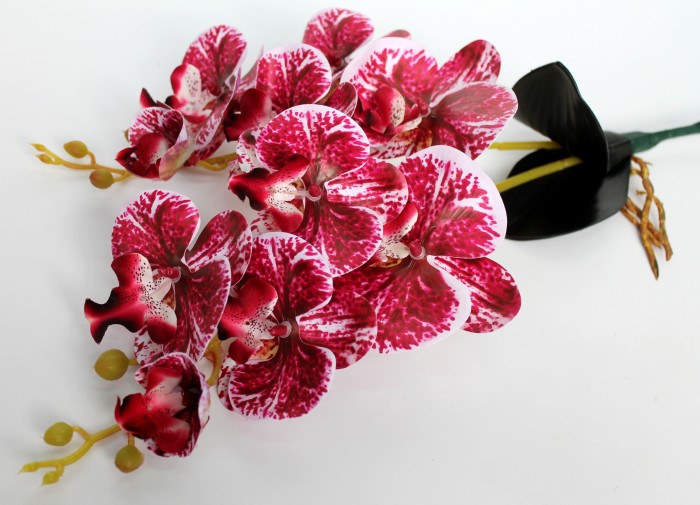 В11437 Б/С Орхидея двойн.с корнями латекс"Дендробиум"Н55см