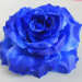 Г441 Крупная роза "Красота" атлас 7сл.d=19см(20/300шт)