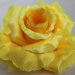 Г441 Крупная роза "Красота" атлас 7сл.d=19см(20/300шт)