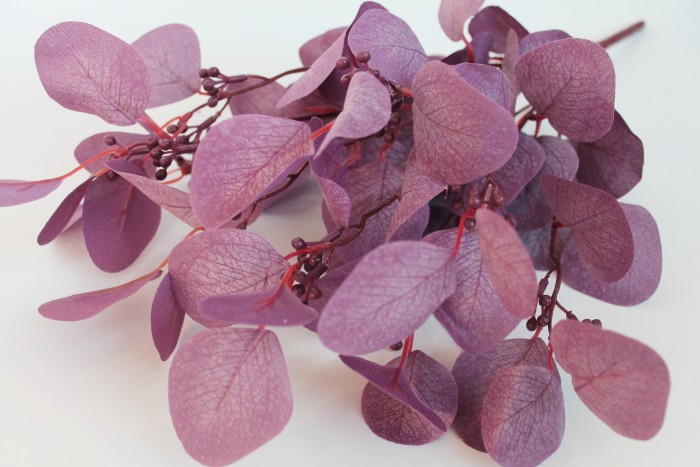 Б11540 Бук.барх.эвкалипт 9 веток с крупными листьями Н50см(6шт)