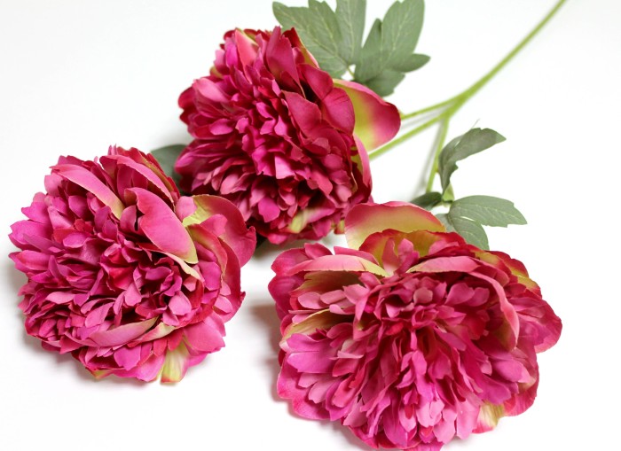 В12144 Б/С Ветка пион 3 больших махровых головы"Отелло"H69см(3шт)