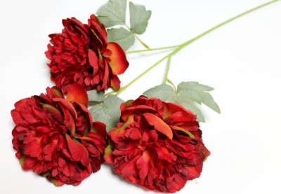 В12144 Б/С Ветка пион 3 больших махровых головы"Отелло"H69см(3шт)