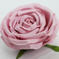 евро-розовый