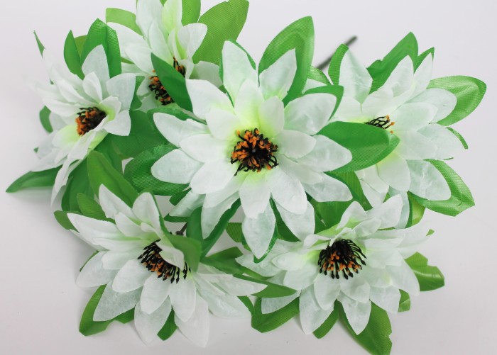 Б11730 Б/С Букет георгин с розеткой 6г."Овен"Н35см(40микс)