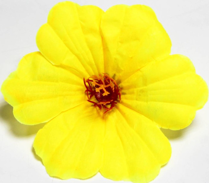 Г12305 Голова клематис "Искра"13см(500микс)