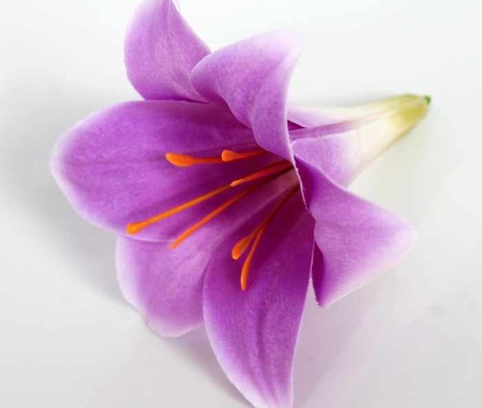 Г10860 Б/С Гол.из толстого сатина Лилии"Чудная,та самая"Н13,2см(20шт)