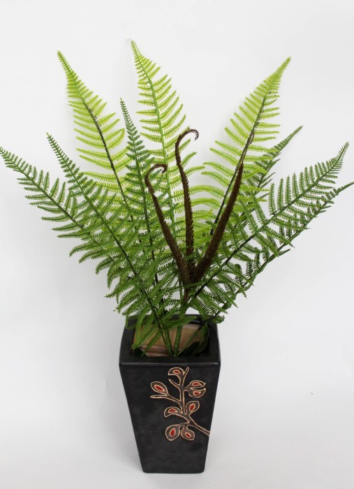 Б11874 Б/С Папоротник Вайи азиатский 9лист.7вет.65см(4шт)