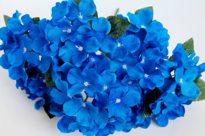 Б11784 Букет 7 голов гортезии"Вектор"35см(10микс)