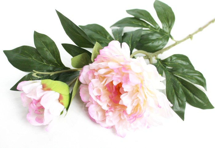 В11617 Б/С Ветка очень большой пион 2 головы"Биг Бен"70см