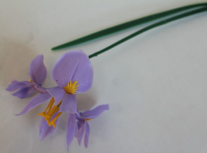 П5541 Ирис одиночн.пластик Н41см(200шт)