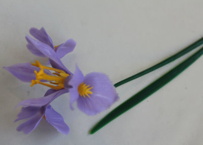 П5541 Ирис одиночн.пластик Н41см(200шт)