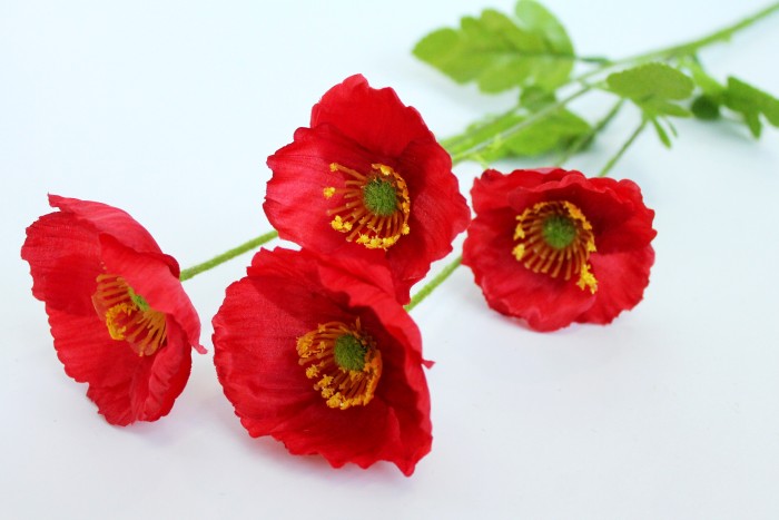 В11382 Б/С Вет.мак альпийский 4г.Н60см(10шт/200микс)