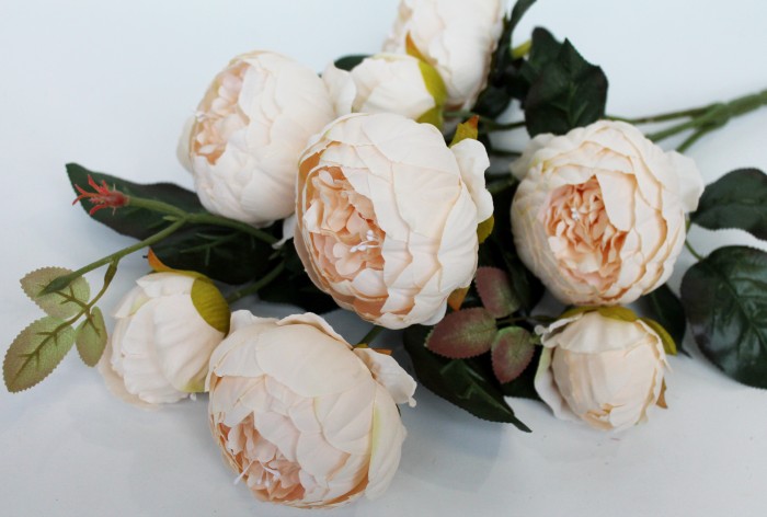 Б11449 Б/С Куст пион декорат.9г."Вдохновение"Н53смт(3микс)