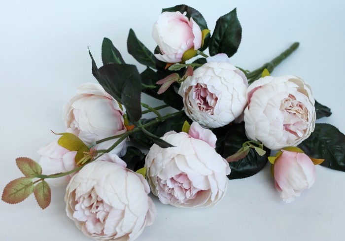 Б11449 Б/С Куст пион декорат.9г."Вдохновение"Н53смт(3микс)