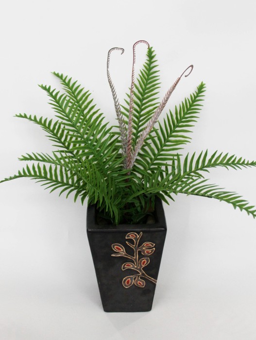 Б11877 Б/С Папоротник Сильвер Леди 9л.10в.50см(4шт)