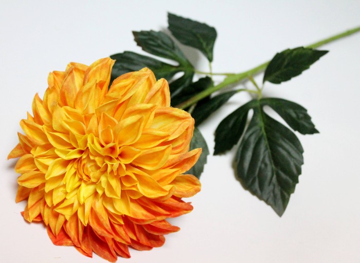 В12064 Б/С Георгин элитный большой"Кабальеро"72см(5шт)