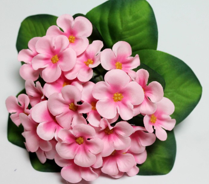 Б12224 Б/С Букет флористической фиалки с дорогим листом"Женева"18см(10шт)