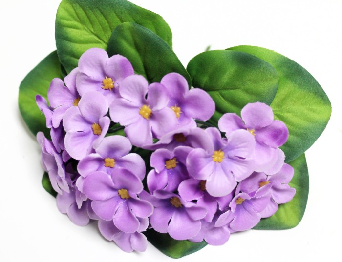 Б12224 Б/С Букет флористической фиалки с дорогим листом"Женева"18см(10шт)