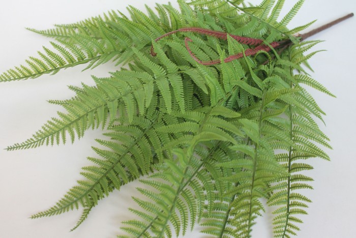 Д10650 Б/С Больш.папор.кочедыжник 20л.с завит.Н65см(2шт)