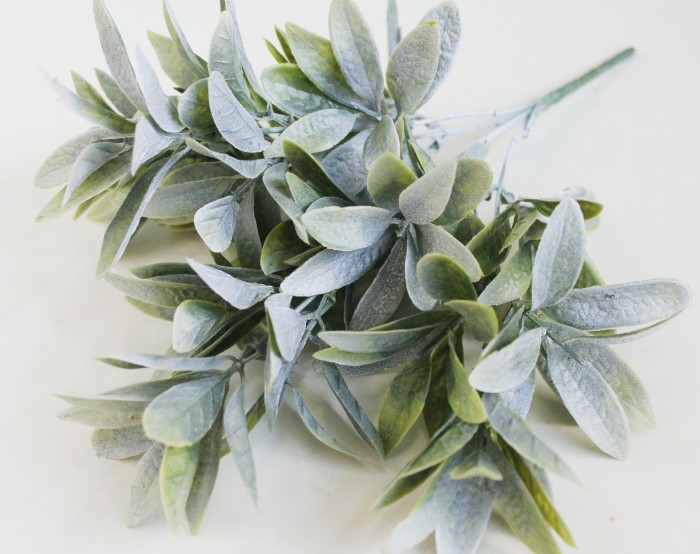 Б10984 Б/С Бук.самшит седой колхидский густой 4в.Н35см(10шт)