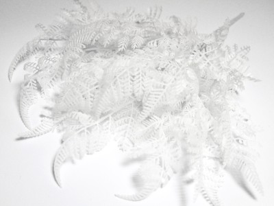 Б10696 Б/С Папорот.орляк снежный как резина 19л.Н47см(10шт)