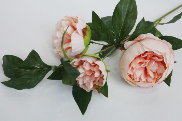 В11619 Б/С Ветка пиона 3 гол."Орфей"Н80см