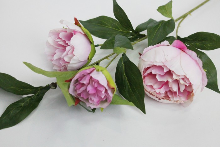 В11619 Б/С Ветка пиона 3 гол."Орфей"Н80см