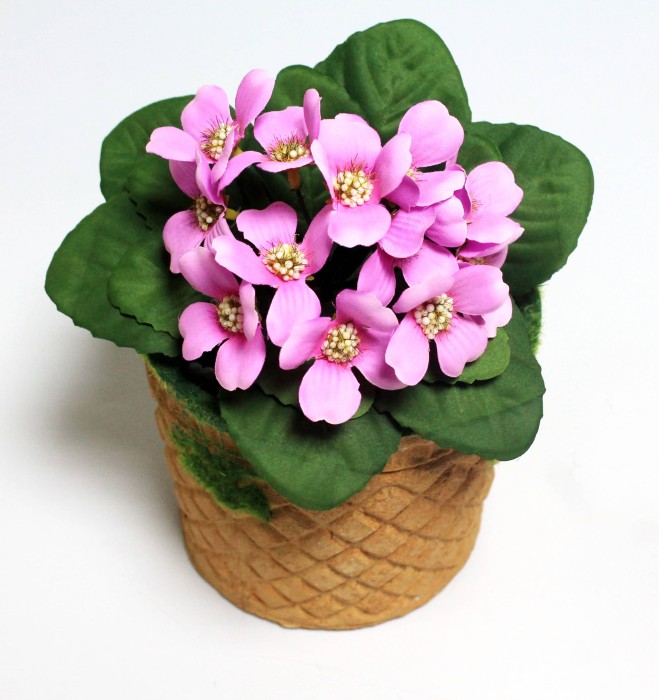 Б12225 Б/С Фиалка флористическая с красивой дорогой серединой"Магия любви"20см(10шт)