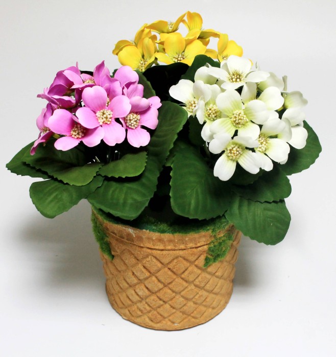 Б12225 Б/С Фиалка флористическая с красивой дорогой серединой"Магия любви"20см(10шт)