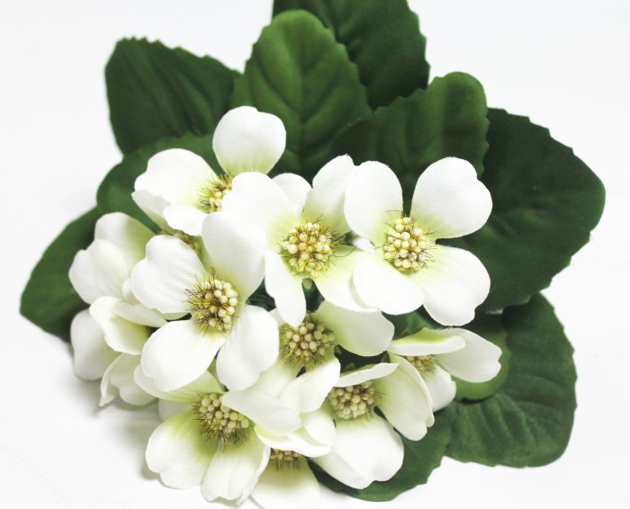 Б12225 Б/С Фиалка флористическая с красивой дорогой серединой"Магия любви"20см(10шт)