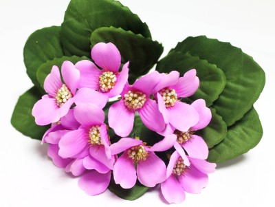 Б12225 Б/С Фиалка флористическая с красивой дорогой серединой&quot;Магия любви&quot;20см(10шт)