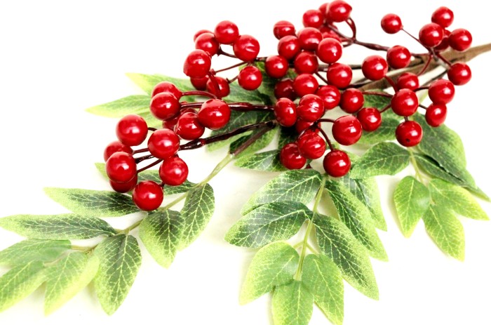 В11159 Б/С Вет.вишни урожайная Н78см(2шт)