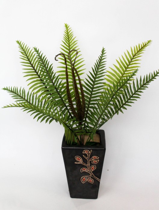 Б11878 Б/С Папоротник Диксония арктическая 9л.7в.58см(4шт)