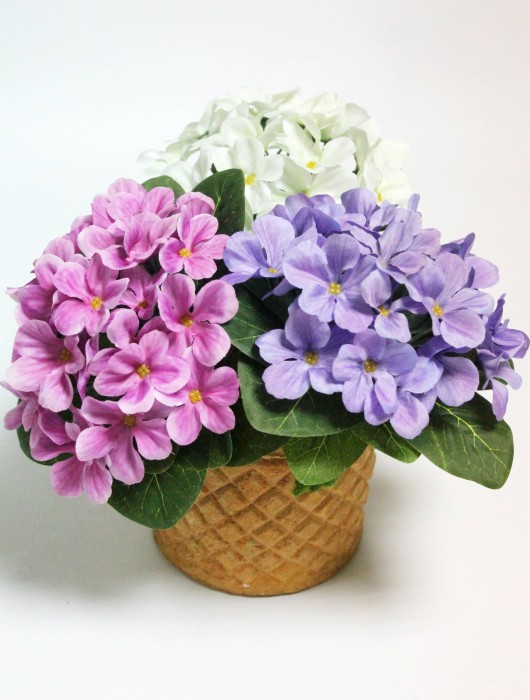 Б12226 Б/С Фиалка флористическая пышная 25 голов"Поцелуй ангела"18см(10шт)