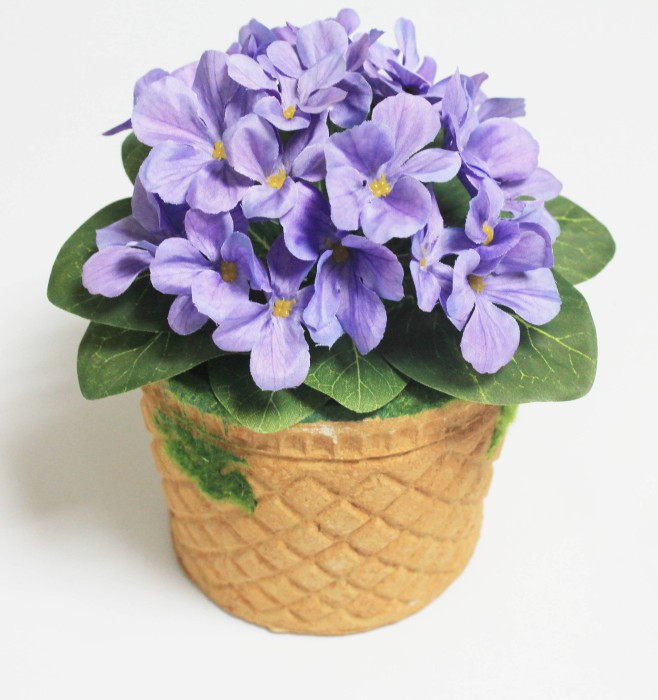 Б12226 Б/С Фиалка флористическая пышная 25 голов"Поцелуй ангела"18см(10шт)