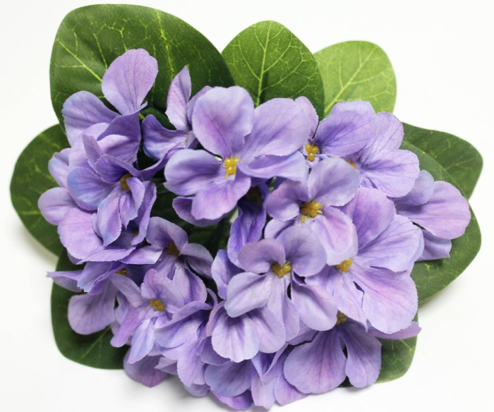 Б12226 Б/С Фиалка флористическая пышная 25 голов"Поцелуй ангела"18см(10шт)