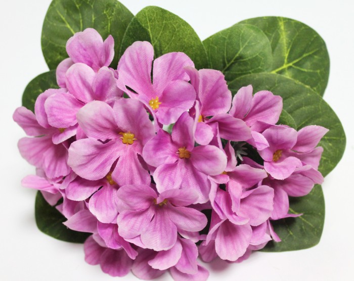 Б12226 Б/С Фиалка флористическая пышная 25 голов"Поцелуй ангела"18см(10шт)