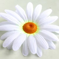 Лимонный